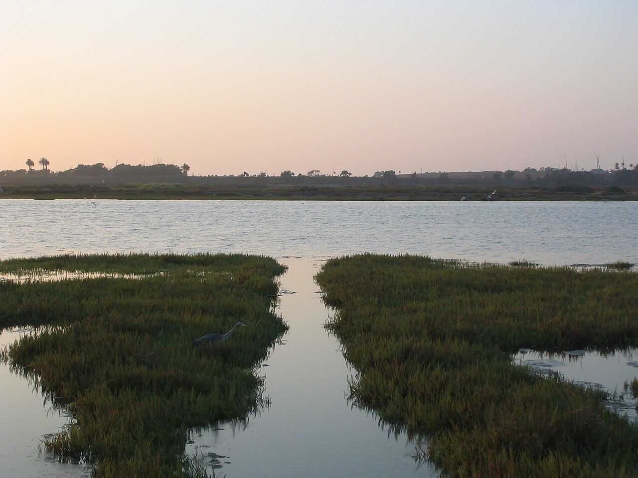 Water, reeds and open sky at the Bolsa Chica Wetland Reserves